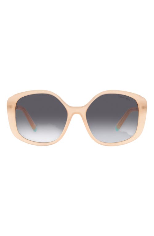 Tiffany & Co TF4192-82683C-54 54mm