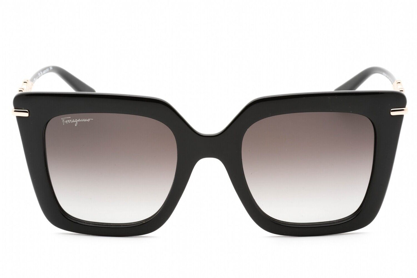 Salvatore Ferragamo SF1041S-001 51mm